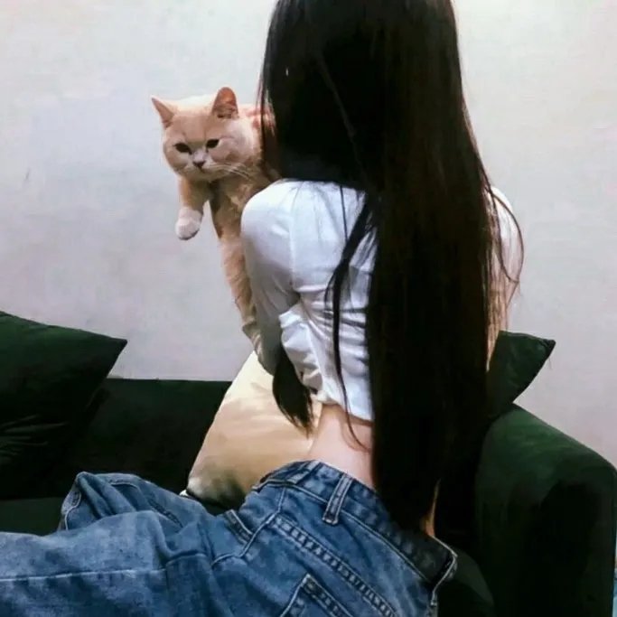 孤狼行